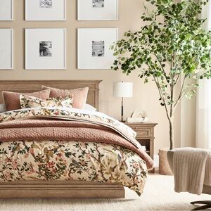 Pottery Barn Nola Songbird King Duvet Cover & Shams